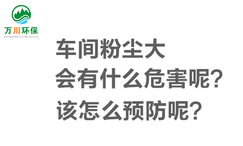 車間粉塵大會(huì)有什么危害呢？該怎么預(yù)防呢？